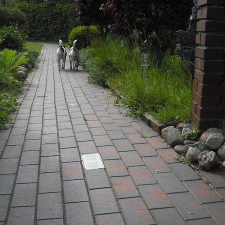Haus Gori Apartment Haffkrug Bagian luar foto